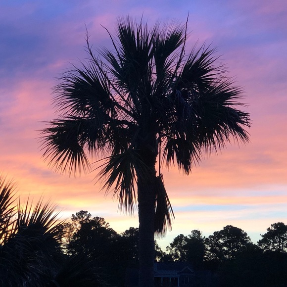 Meet your Posher, Jeanne - Picture 1 of 1